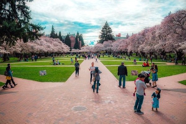 How to design communal spaces that promote social interactions?